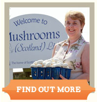 Mushrooms Scotland